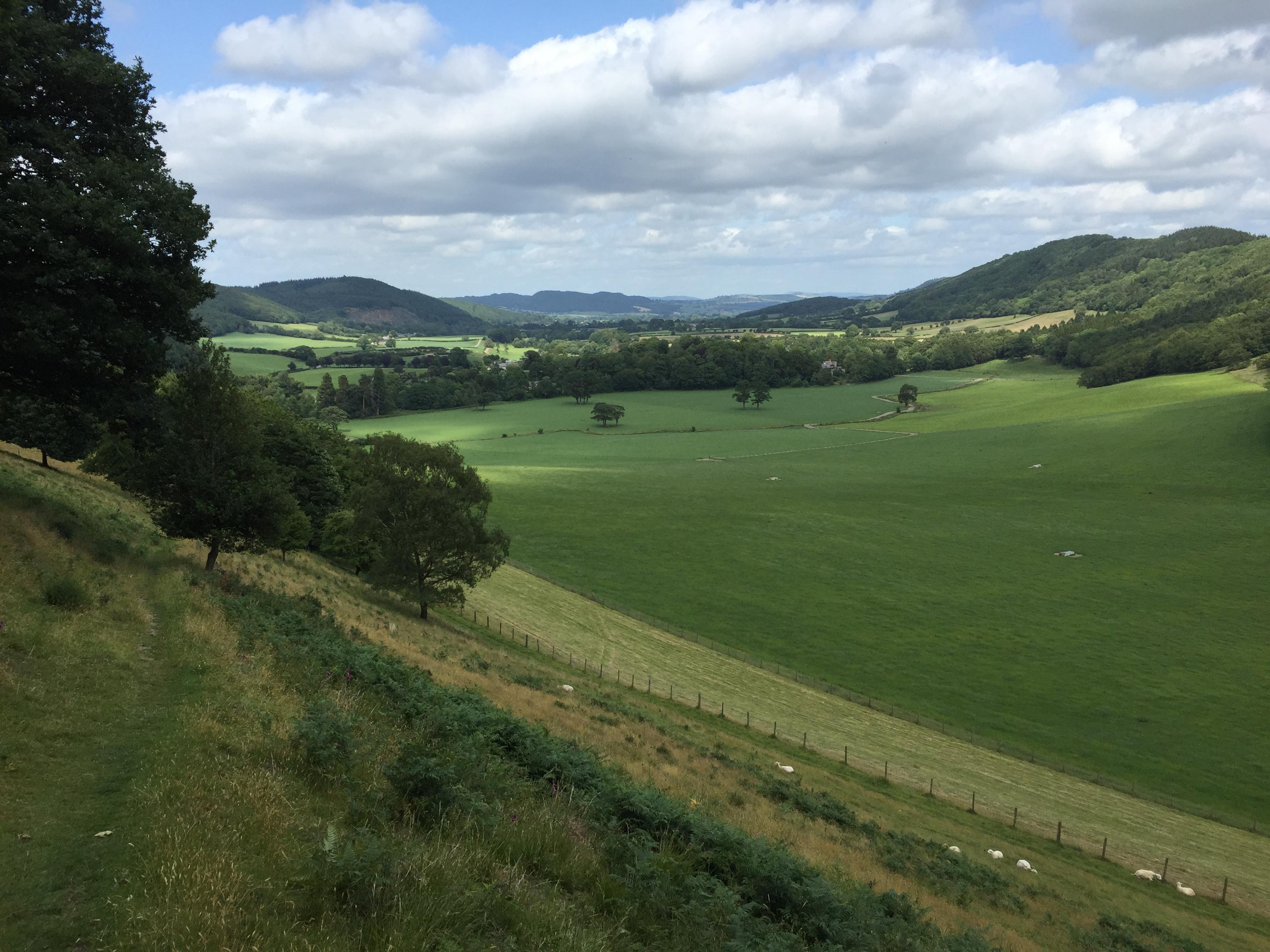 Offa's Dyke Day 7 Knucklas to Kington The Walking Diary