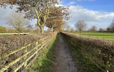 Ripon & Studley Royal Park circular walk | The Walking Diary