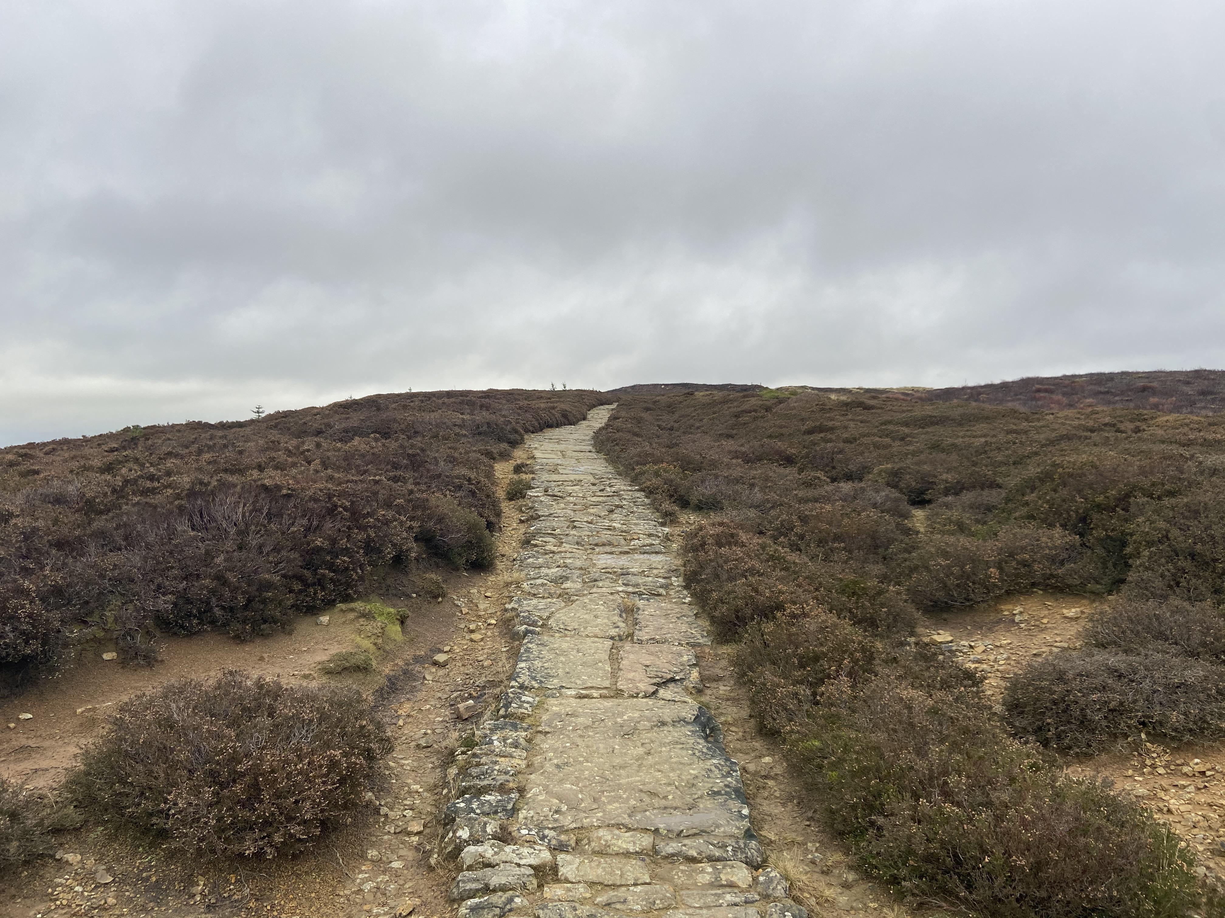 The Walking Diary Swainby, Carlton Bank, Lord Stones